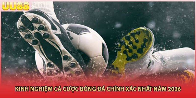 Kinh nghiệm cá cược bóng đá